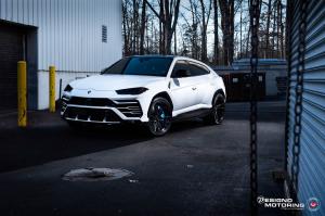 Lamborghini Urus by Designo Motoring on Vossen Wheels (M-X6) 2018 года